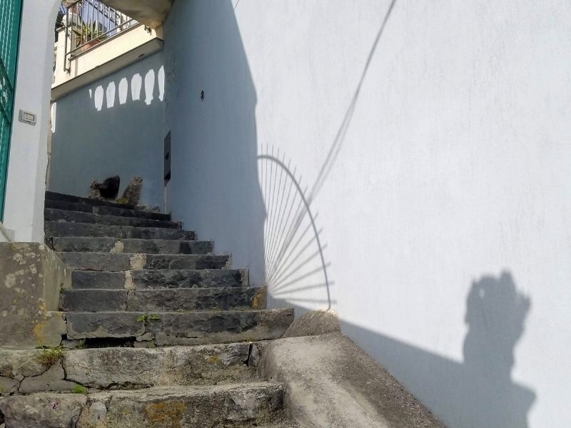 House survey planning for an exterior staircase beside a residential property.